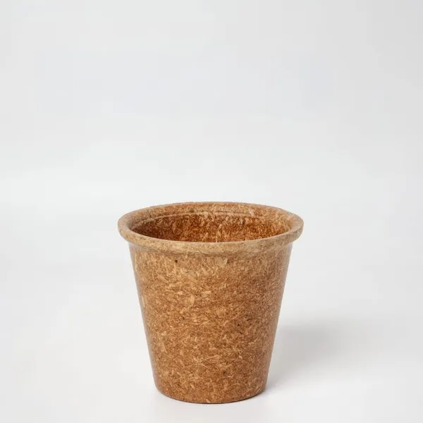 250 ML biodegradable cup — front view