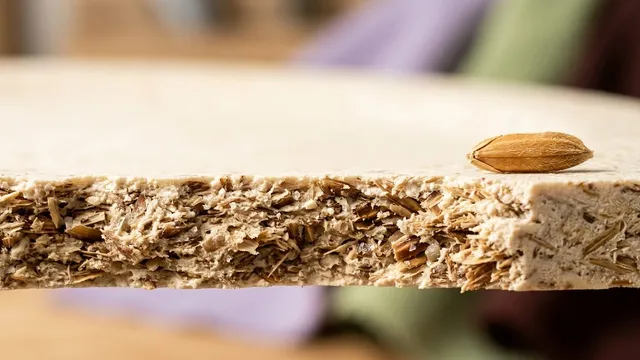 Most Eco-Friendly Tableware Claims Are Half True. Here Is How to Read Them.