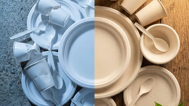 Single Use Plastic Ban in India: What Is Actually Being Enforced in 2025