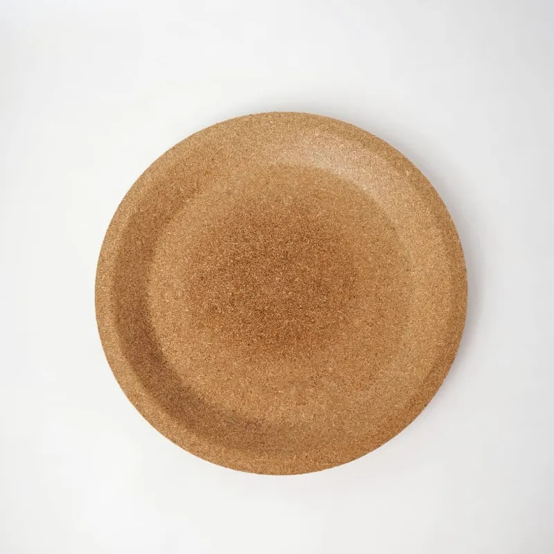 10-inch round biodegradable plate — side profile